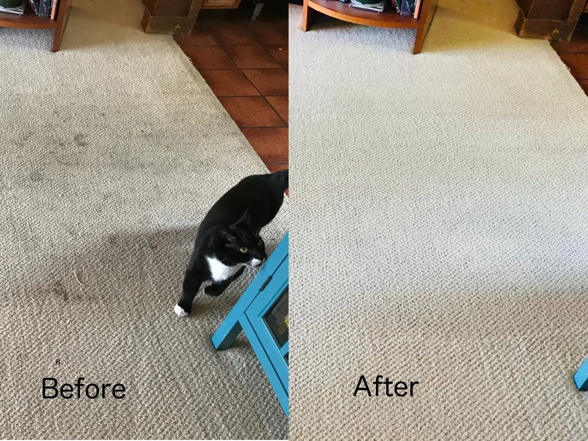 Carpet cleaning before and after in Dublin