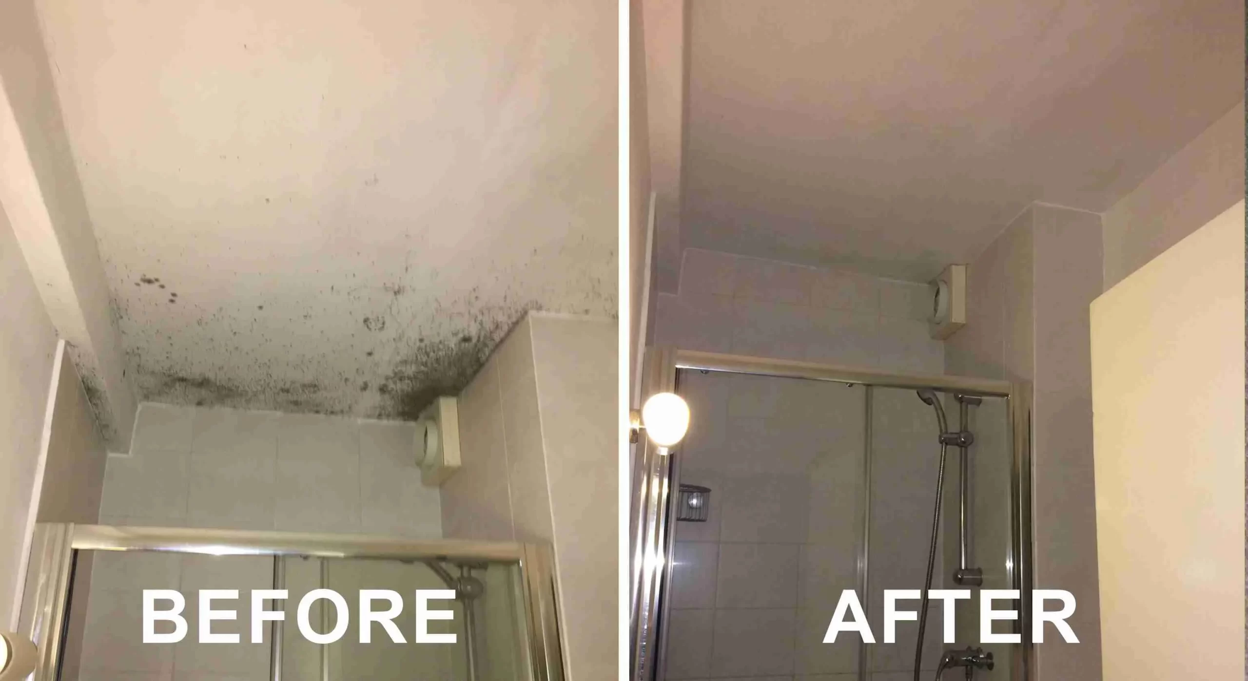 Mold-Removal-cleaning-service-dublin