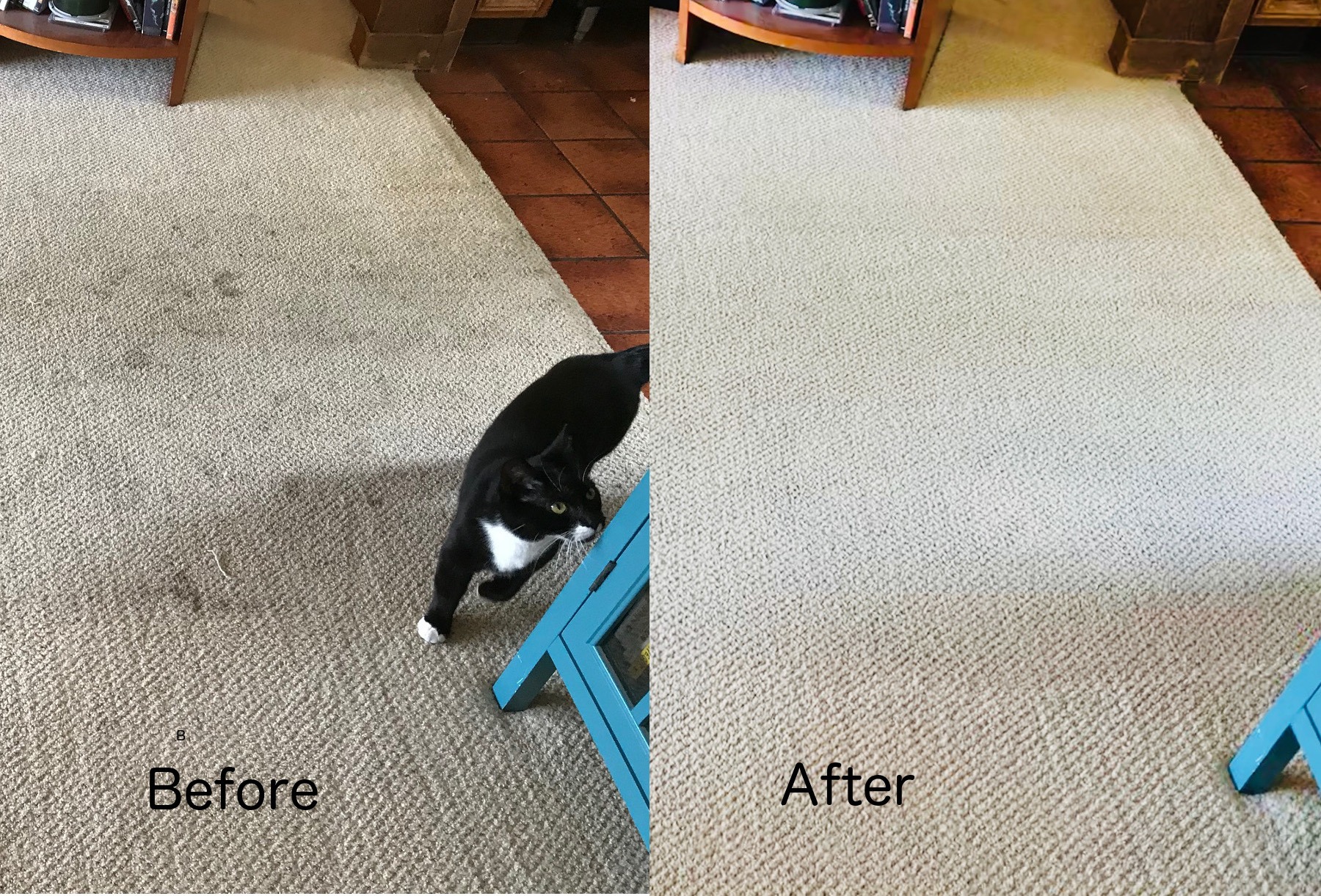 Carpet before and after professional cleaning